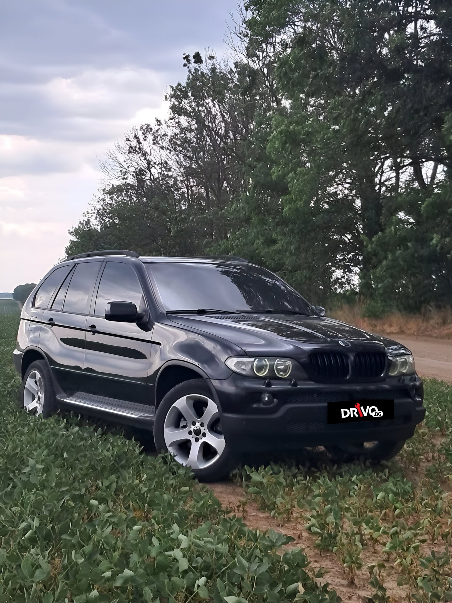 Нови Висококачествени Двойни бъбреци за BMW X5 E53 Facelift - клиент