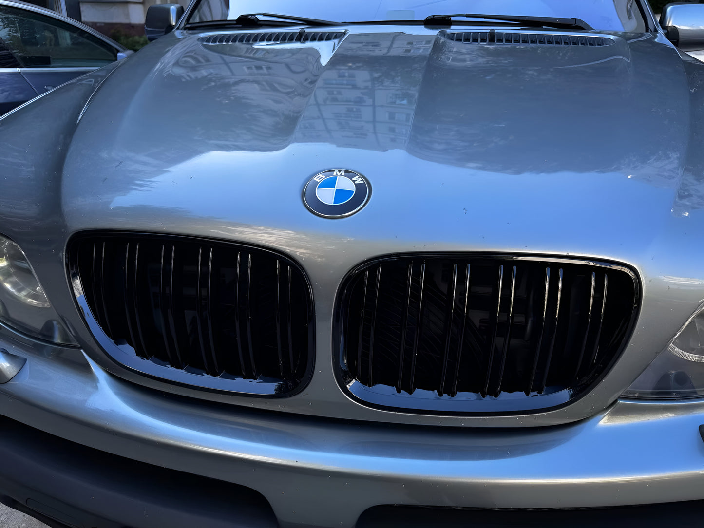 Нови Висококачествени Двойни бъбреци за BMW X5 E53 Facelift - пример отблизо