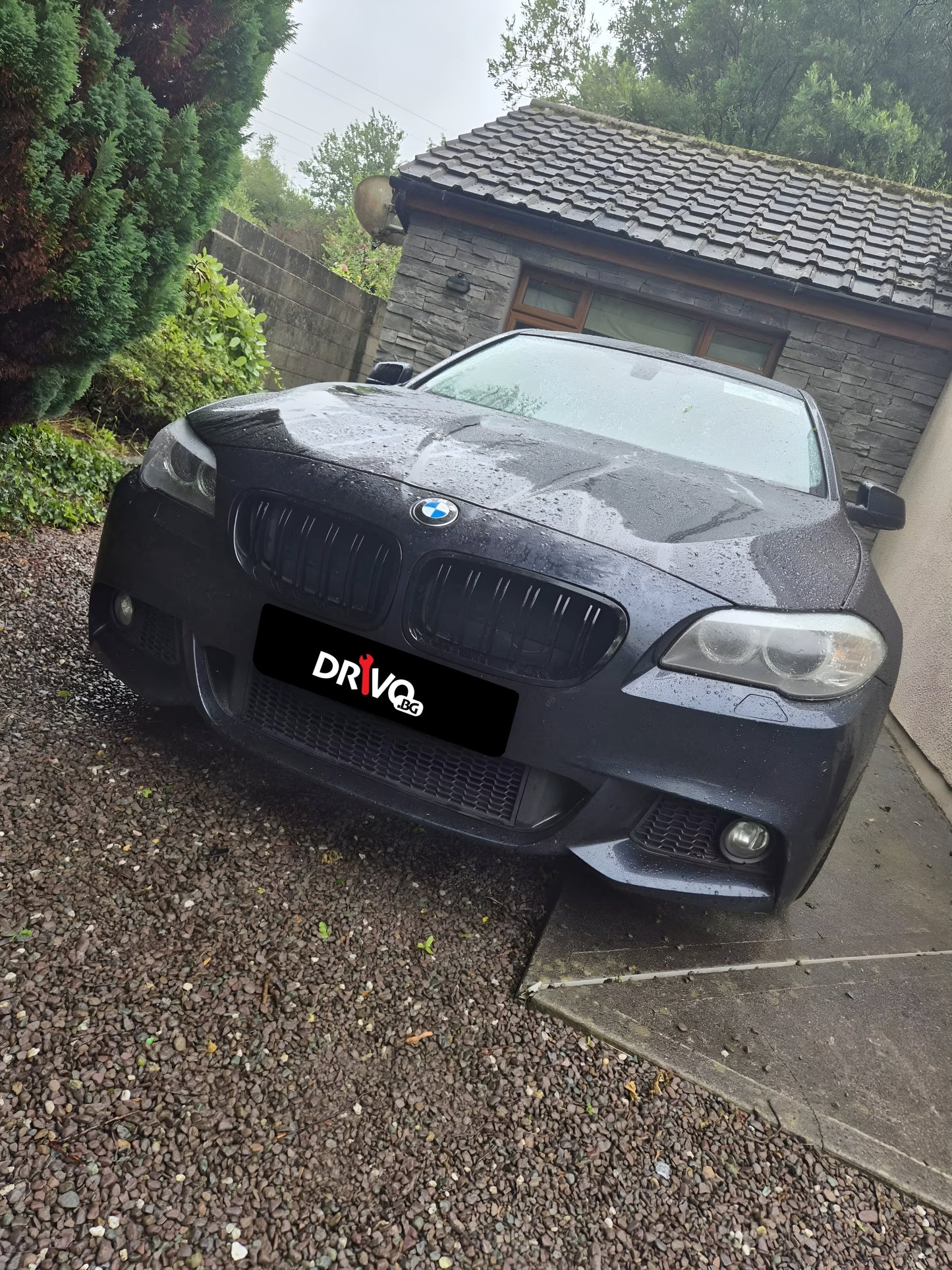 Нови Висококачествени Двойни бъбреци за BMW 5 серия F10 и F11 - клиент