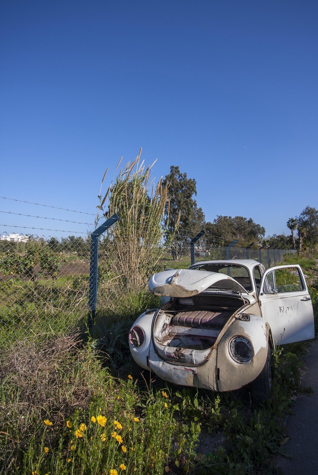 Пролетна профилактика на колата – какво да проверите след зимата