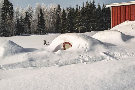 Колата пали трудно през зимата? Най-честите причини и решения